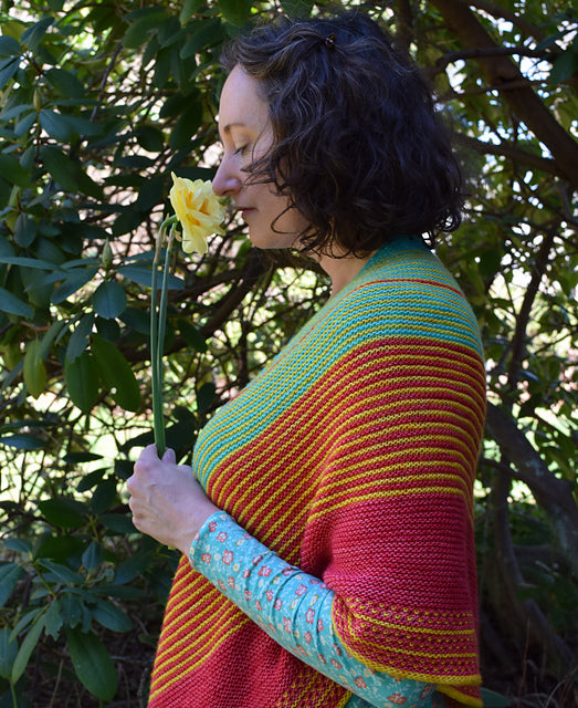 Drachenfels von Laura