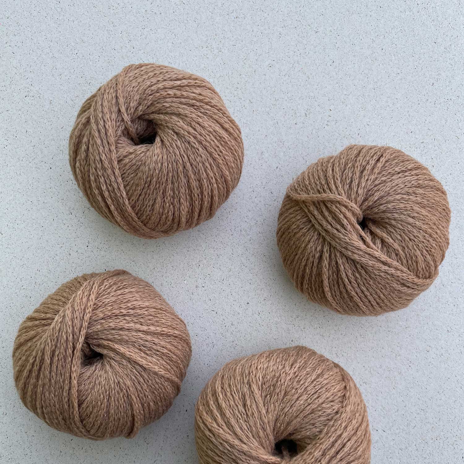 Camel DK